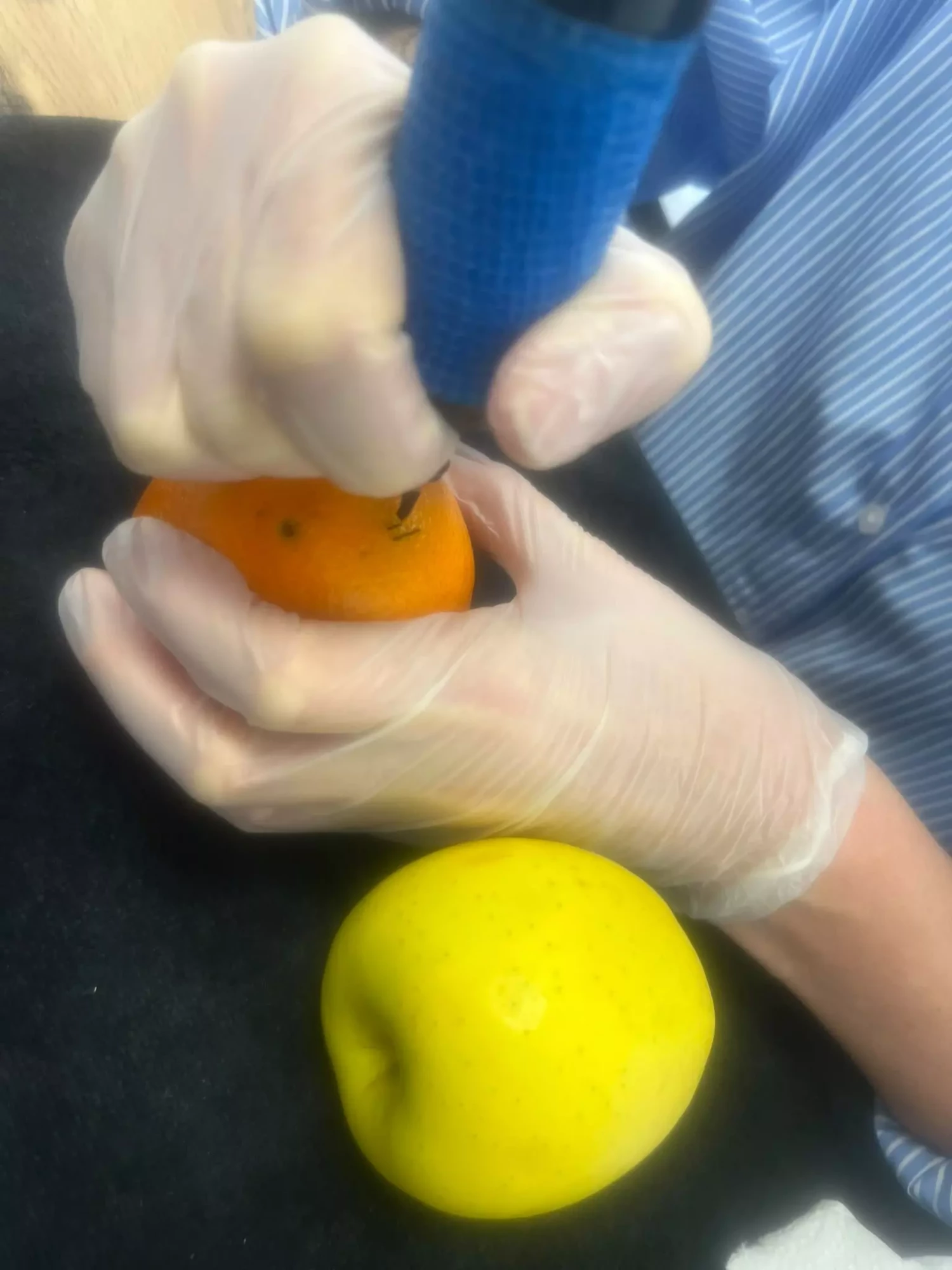 Apprentissage du Tiny Tattoo sur fruit