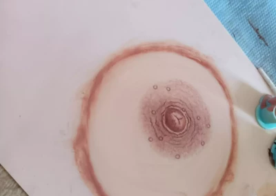 formation areoles mammaires apprendre a dessiner les areoles