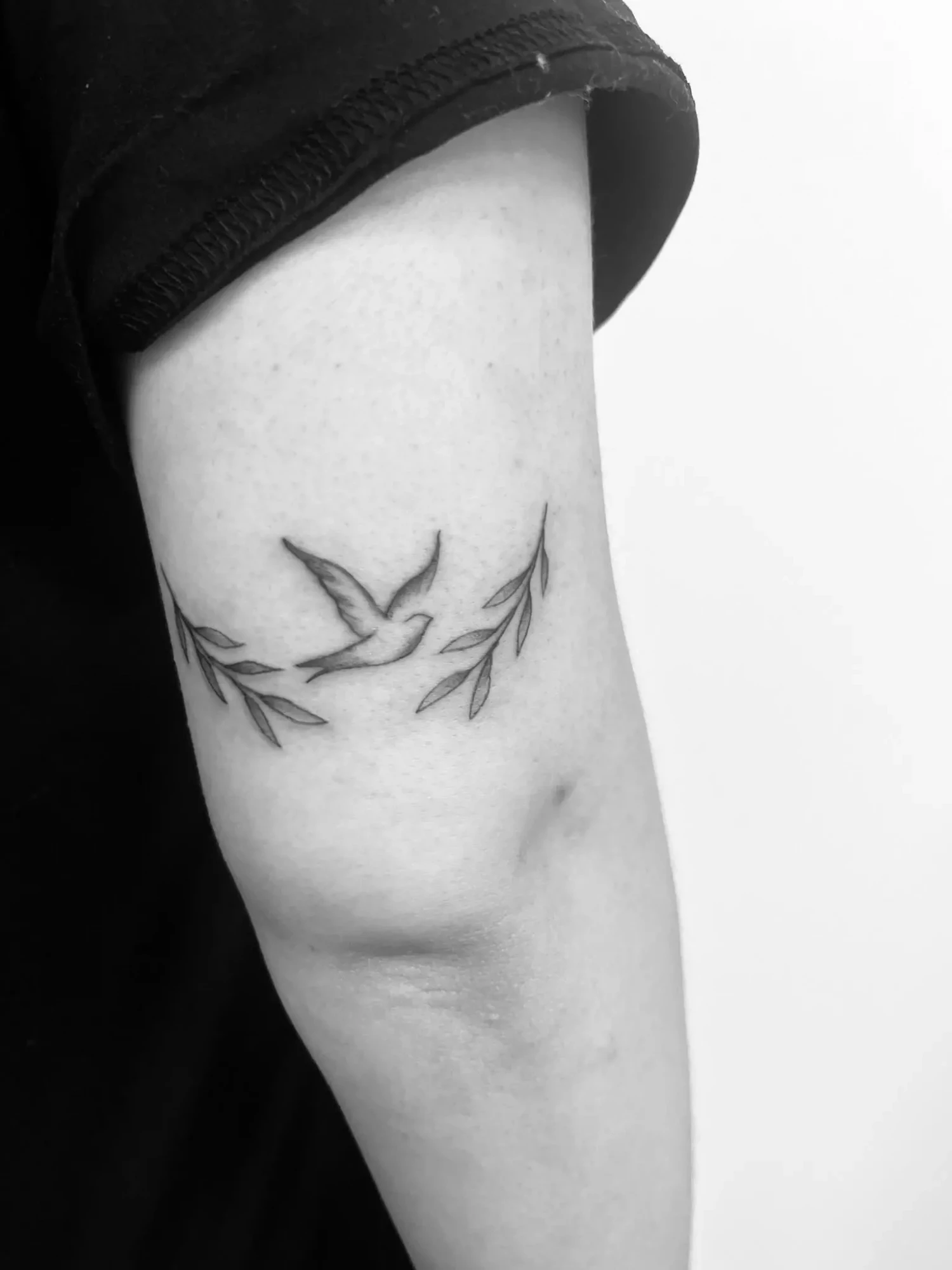 Tiny Tattoo oiseau sur le bras